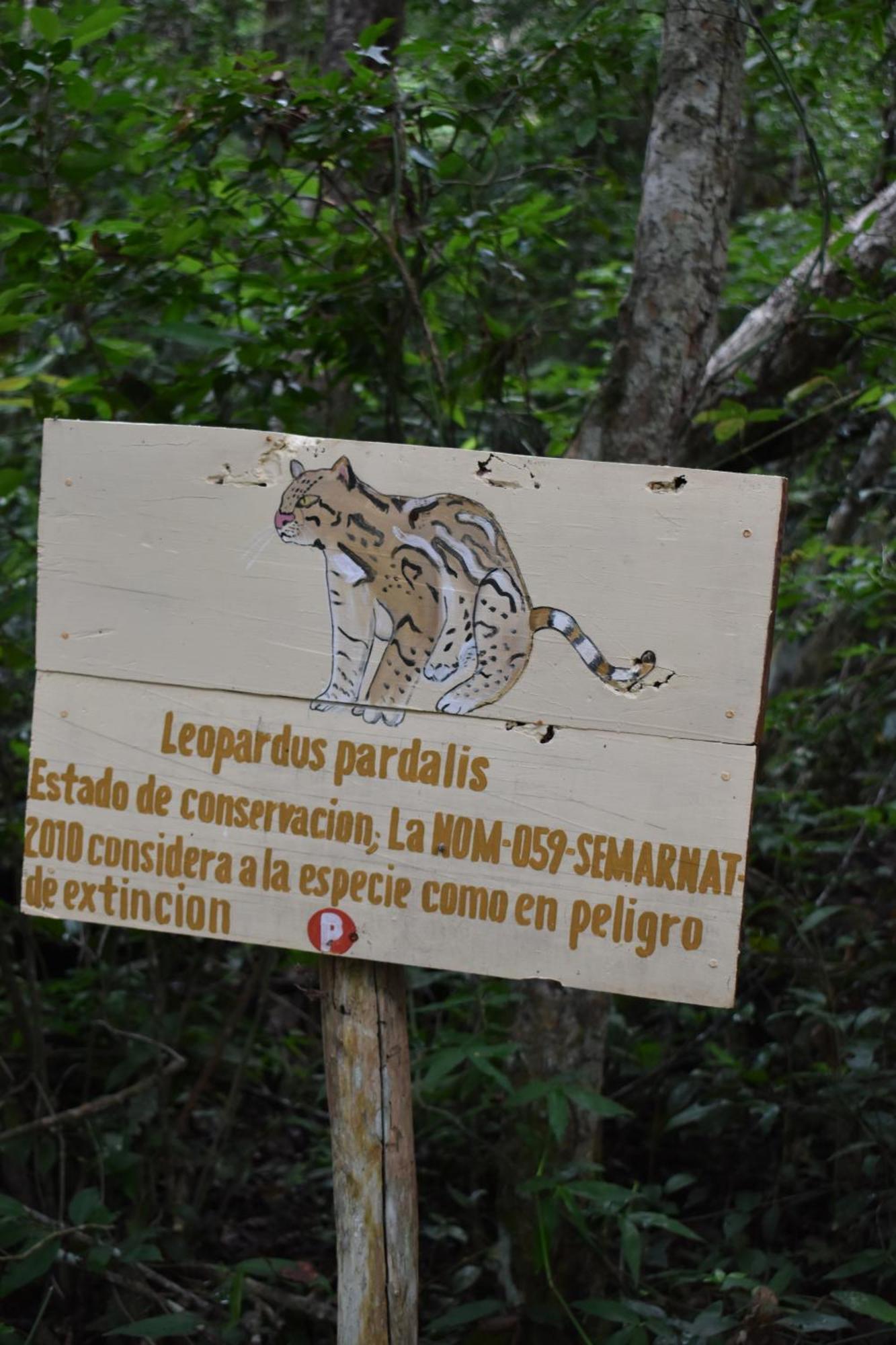 Eco Aldea Kinich Ahau Villa Xpujil Exterior foto